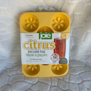 Joie Citrus Ice Cube Tray with Lid